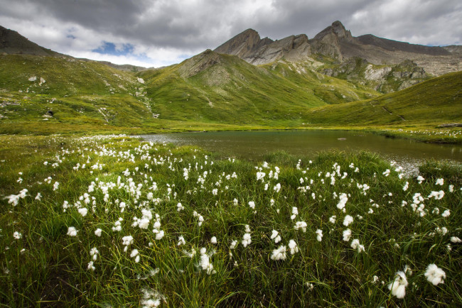 Обои картинки фото природа, луга, простор