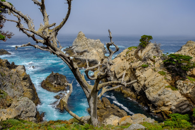 Обои картинки фото природа, побережье, простор