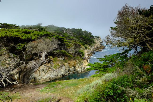 Обои картинки фото природа, побережье, простор