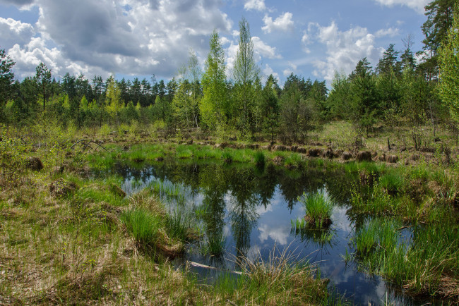 Обои картинки фото природа, реки, озера, простор