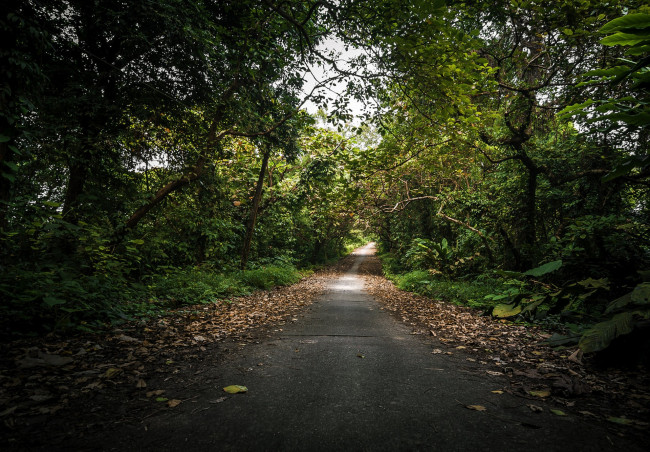 Обои картинки фото природа, дороги, простор