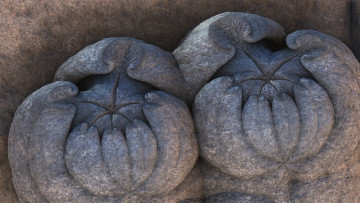 Картинка 3д+графика абстракция+ abstract узор фон цвет