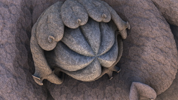 Картинка 3д+графика абстракция+ abstract узор фон цвет