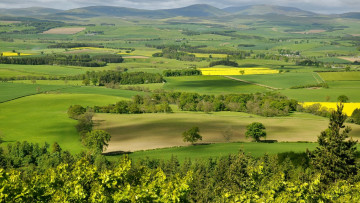 Картинка природа пейзажи лето даль