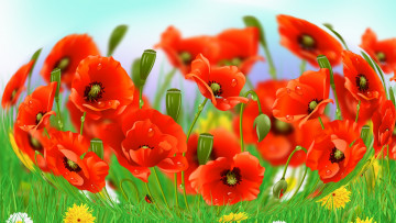 обоя векторная графика, цветы , flowers, мак, фон, лепестки