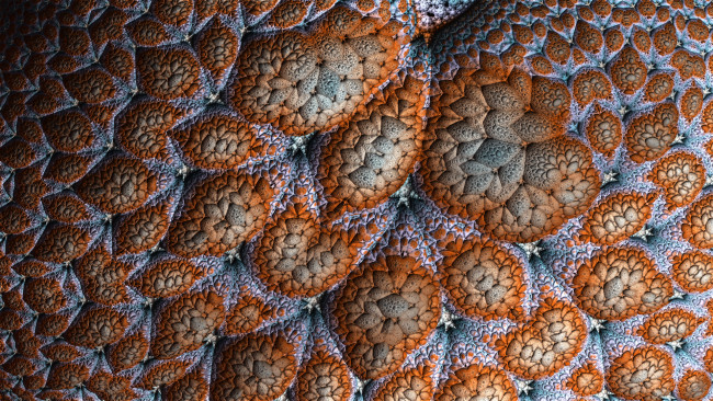 Обои картинки фото 3д графика, абстракция , abstract, фон, узор, цвет