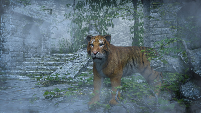 Обои картинки фото 3д графика, животные , animals, тигр