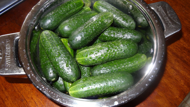 Обои картинки фото еда, огурцы, огурчики, капли
