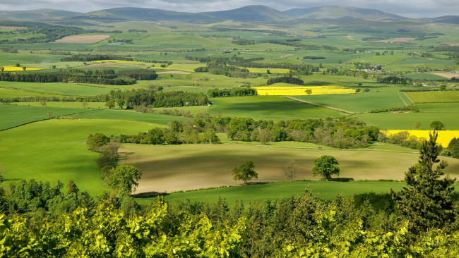 Обои картинки фото природа, пейзажи, лето, даль