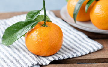 Картинка еда цитрусы мандарины
