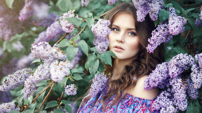 Обои картинки фото девушки, - брюнетки,  шатенки, сирень