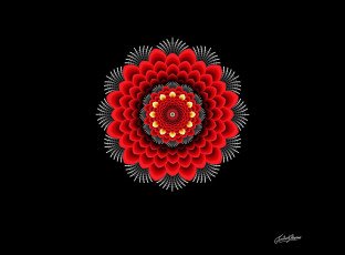 Картинка векторная+графика цветы+ flowers цветок орнамент