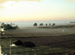 Картинка разное компьютерный+дизайн поле туман вода