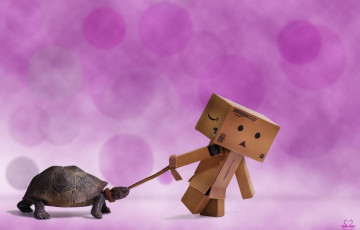 обоя разное, данбо , danboard, человечек, коробки, поводок, черепаха