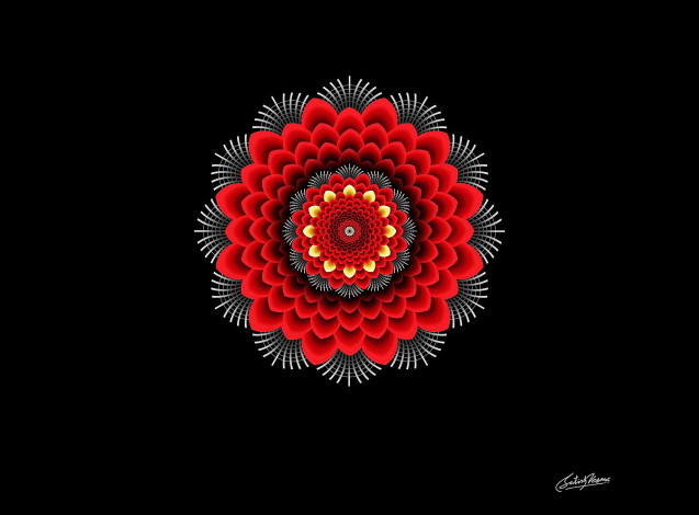 Обои картинки фото векторная графика, цветы , flowers, цветок, орнамент