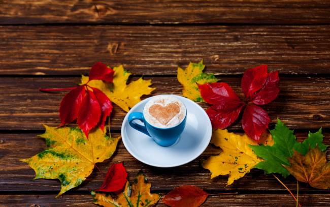 Обои картинки фото еда, кофе,  кофейные зёрна, листья, кленовые, чашка