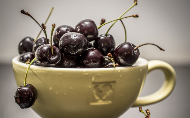 Обои картинки фото еда, вишня,  черешня, чашка, черешня, капли