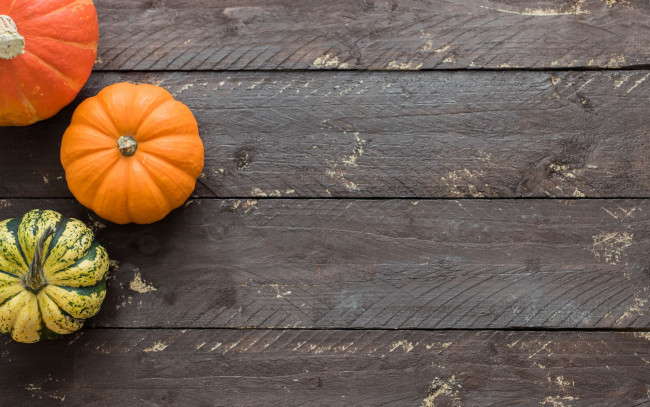 Обои картинки фото еда, тыква, разноцветные, тыквы