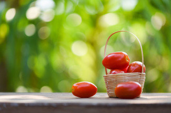 обоя еда, помидоры, томаты