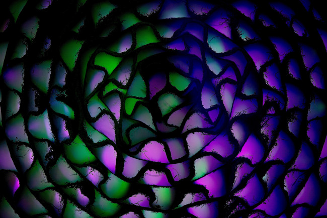 Обои картинки фото 3д графика, фракталы , fractal, узор