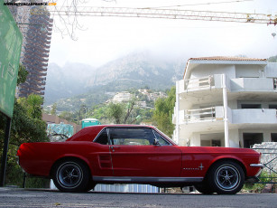 Картинка автомобили ford