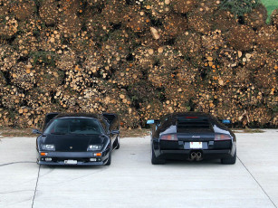 Картинка автомобили lamborghini