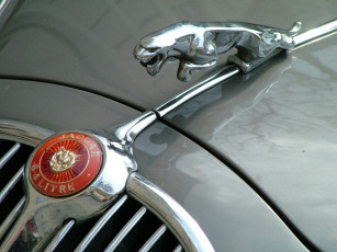 обоя бренды, авто, мото, jaguar