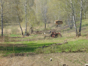 Картинка parkowka природа