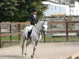 Картинка спорт конный