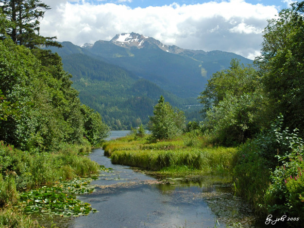 Обои картинки фото природа