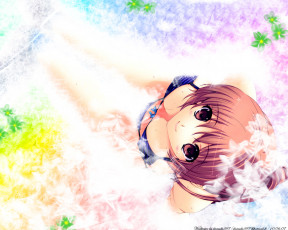 Картинка аниме dead or alive