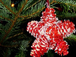 Картинка праздничные