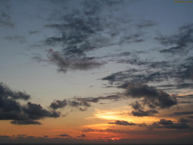 Обои картинки фото природа