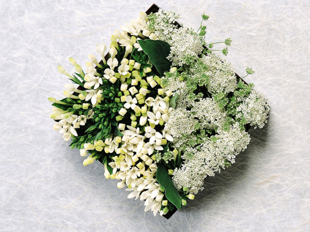 Обои картинки фото цветы, букеты, композиции