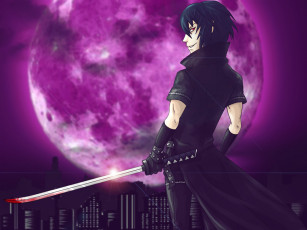 Картинка аниме togainu no chi