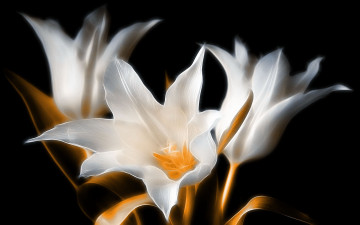 Картинка 3д графика flowers цветы