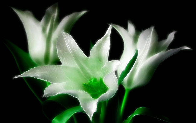 Обои картинки фото 3д, графика, flowers, цветы