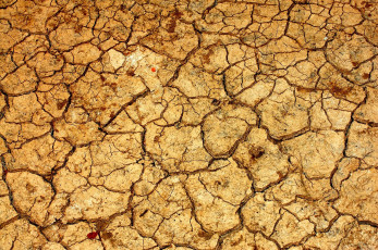 Картинка разное текстуры сухая земля трещины