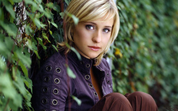 обоя Allison Mack, девушки, , , куртка, блондинка, дерево