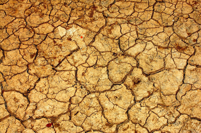 Обои картинки фото разное, текстуры, сухая, земля, трещины