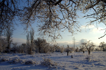 Картинка природа зима снег