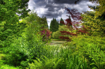 Картинка природа парк небо тучи заросли пруд