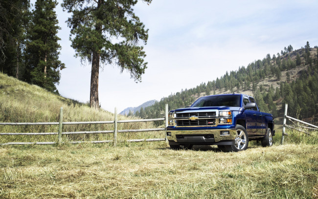 Обои картинки фото автомобили, chevrolet, луг, синий