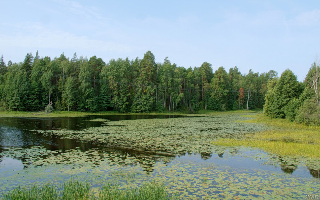 Обои картинки фото нижегородский, край, природа, реки, озера, озеро, лес, небо