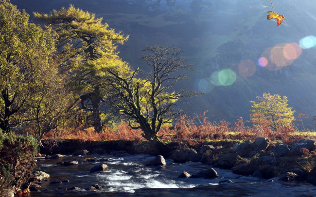 Обои картинки фото природа, реки, озера, горы, река, камни, деревья