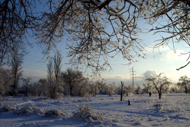 Обои картинки фото природа, зима, снег