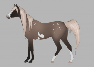 Картинка рисованные животные +лошади лошадь