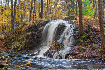 Картинка природа водопады лес река водопад
