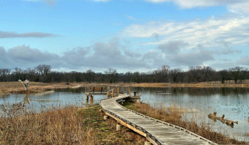 Картинка природа реки озера река заводь трава мостки