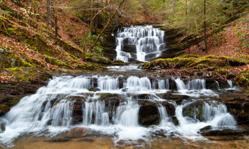 Картинка природа водопады каскад водопад река склон лес